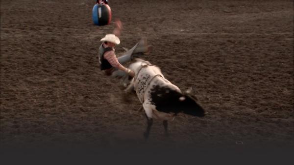 Strength and flexibility are the key to bull riding. 