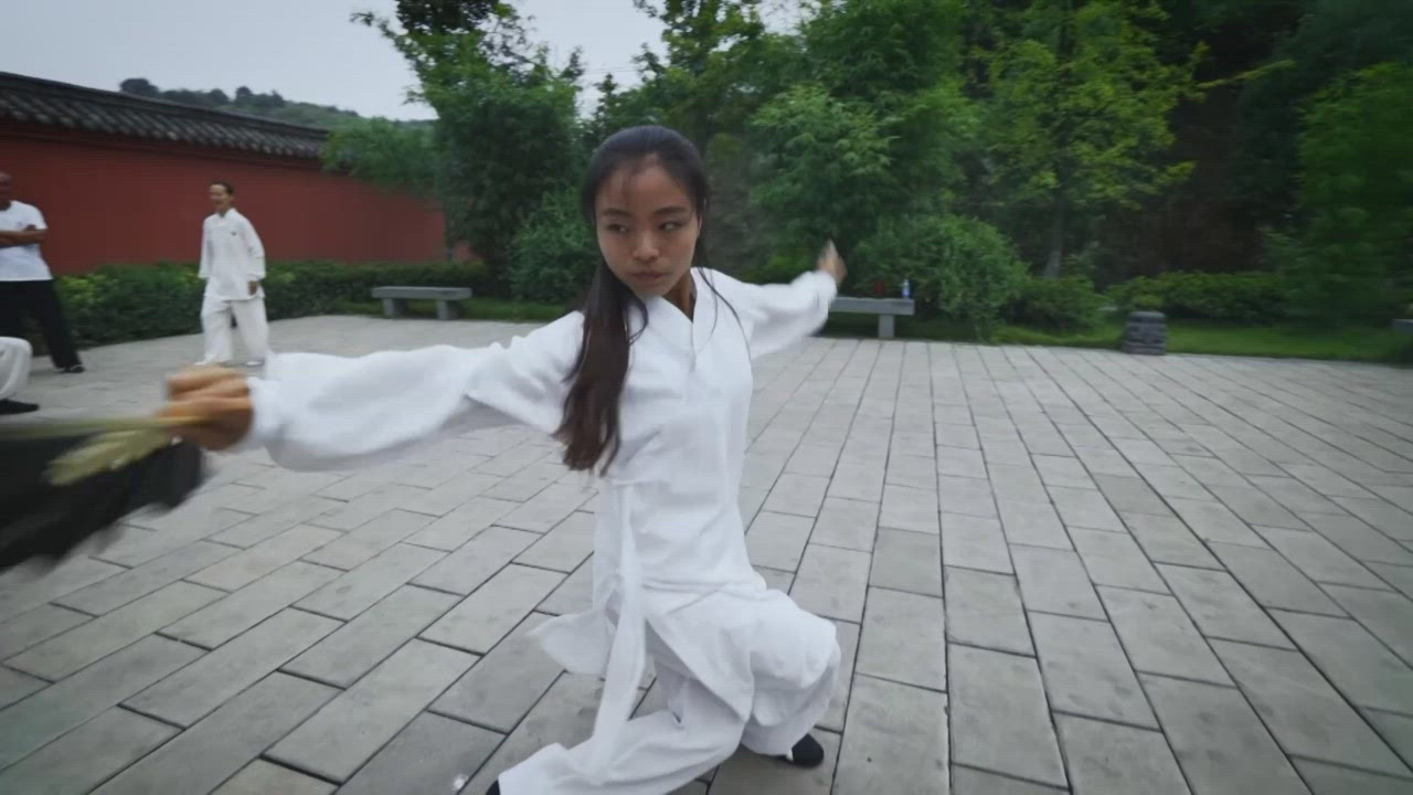 The Master of Kung Fu