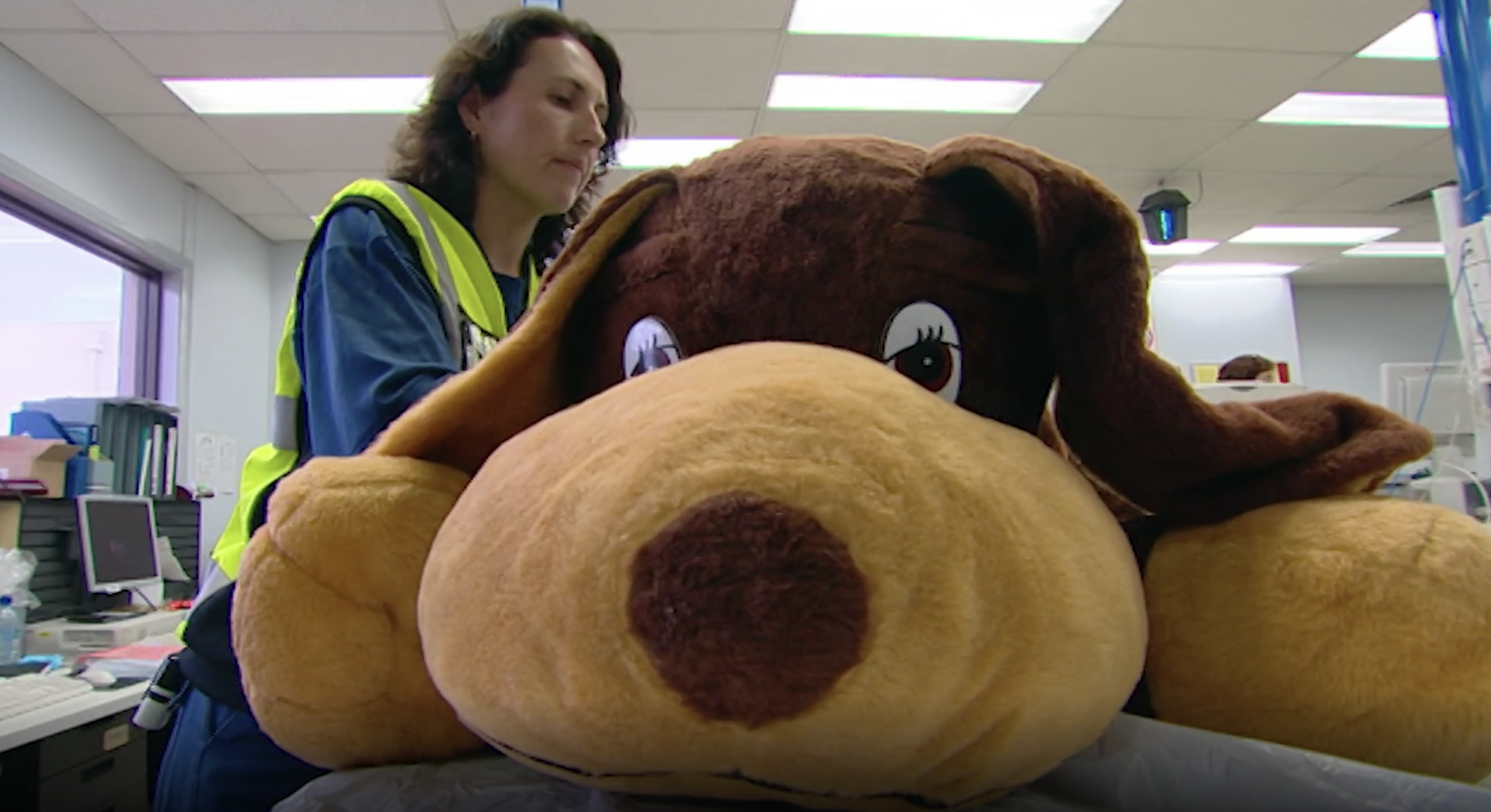 A Different Kind of Drug Dog