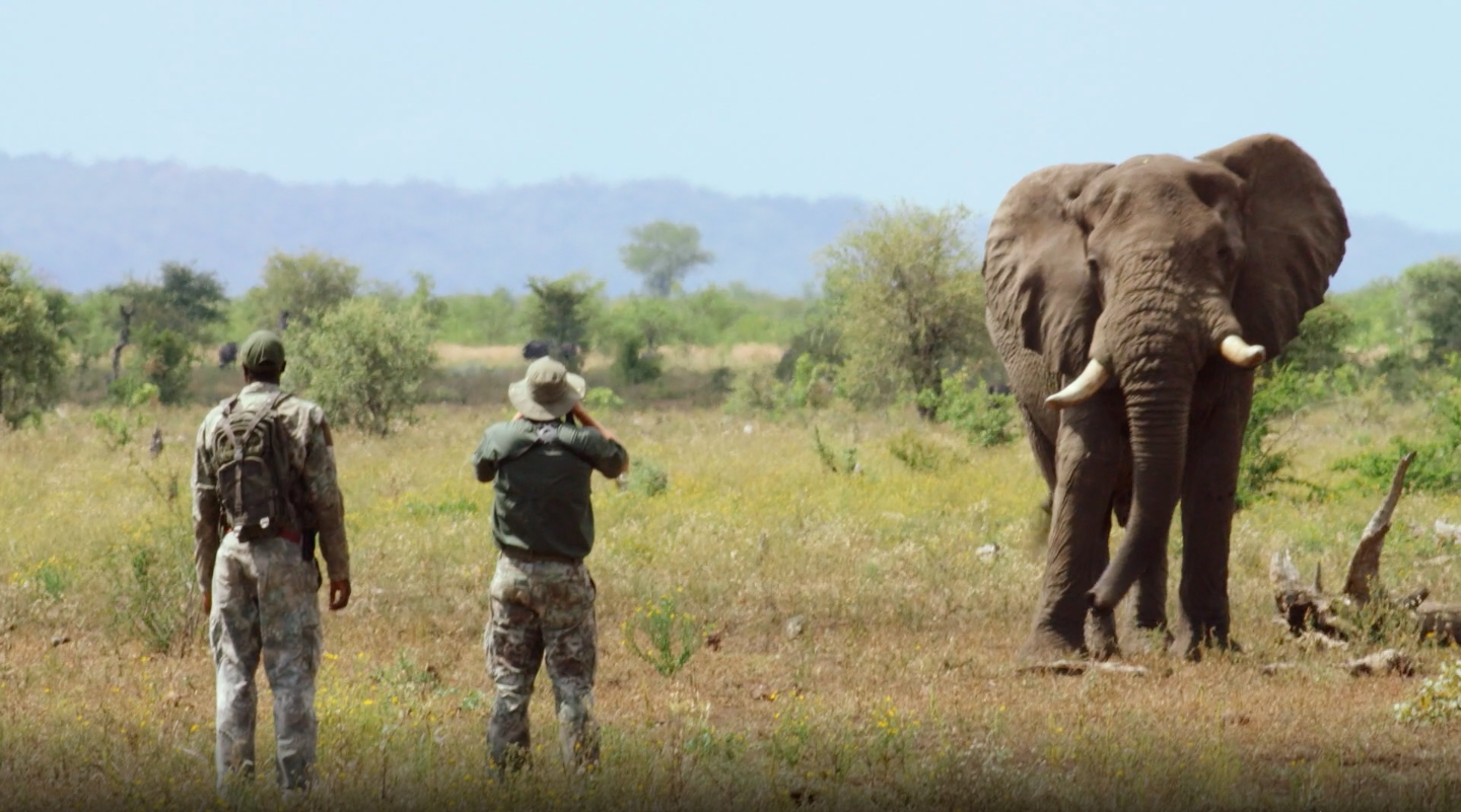 Africa's Most Dangerous