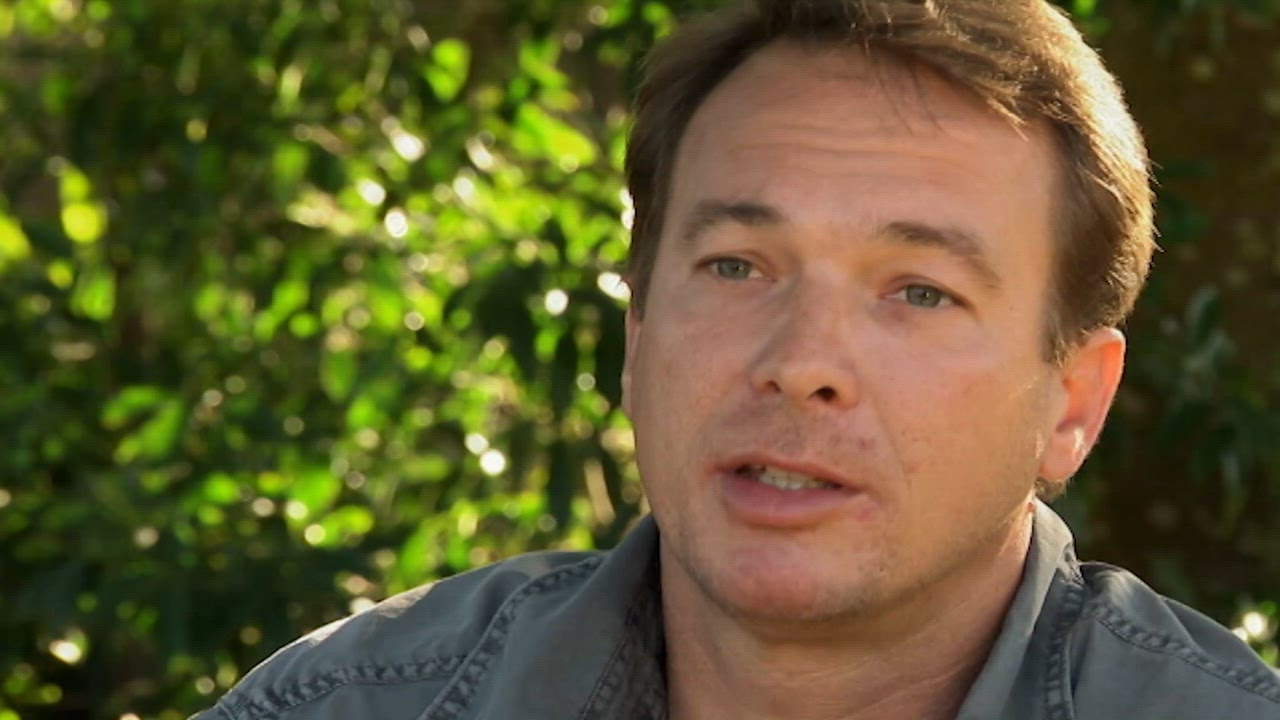  Everglades bajo asedio