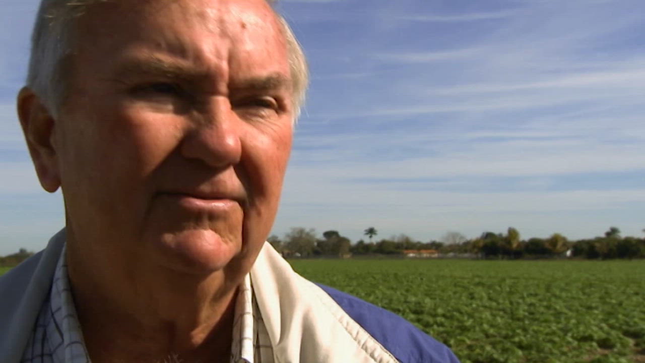 La tormenta perfecta