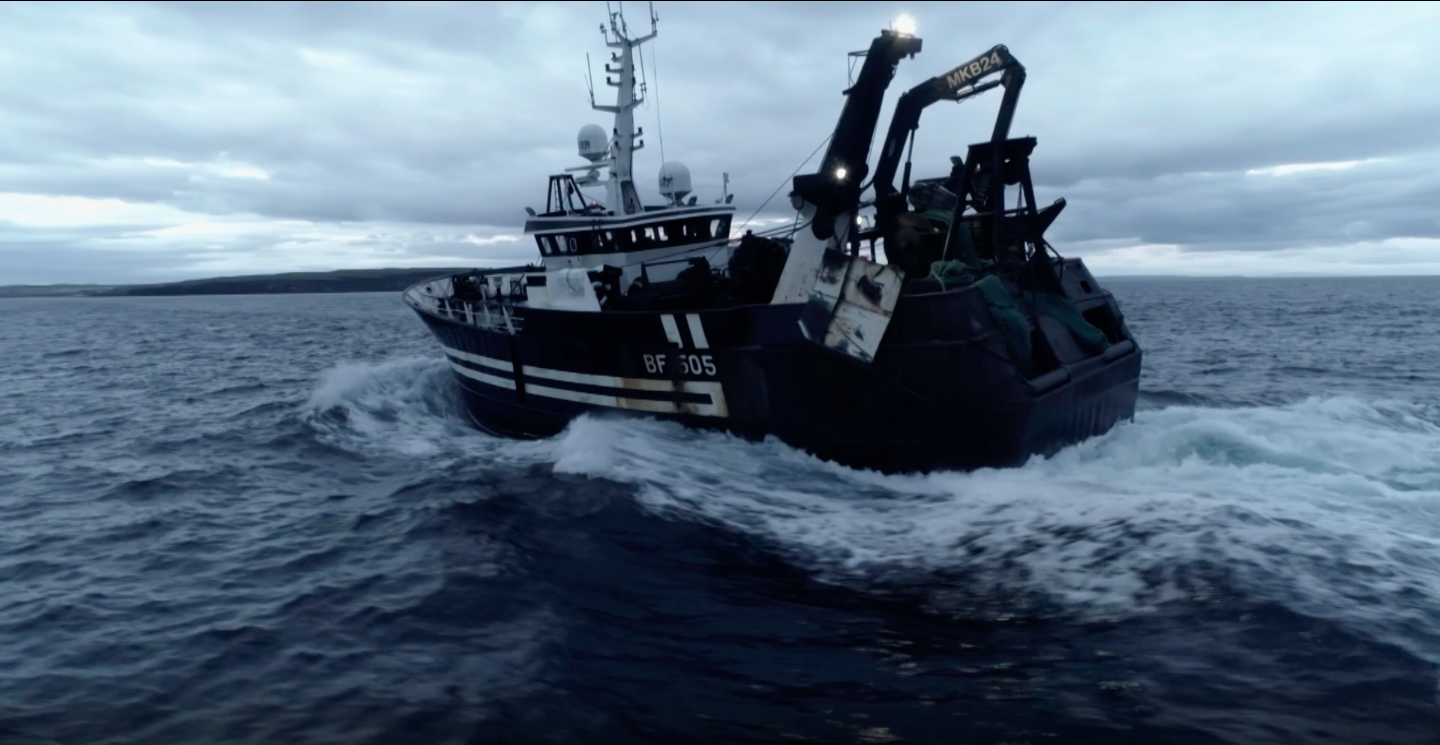 Celebrity Trawlermen: All at Sea