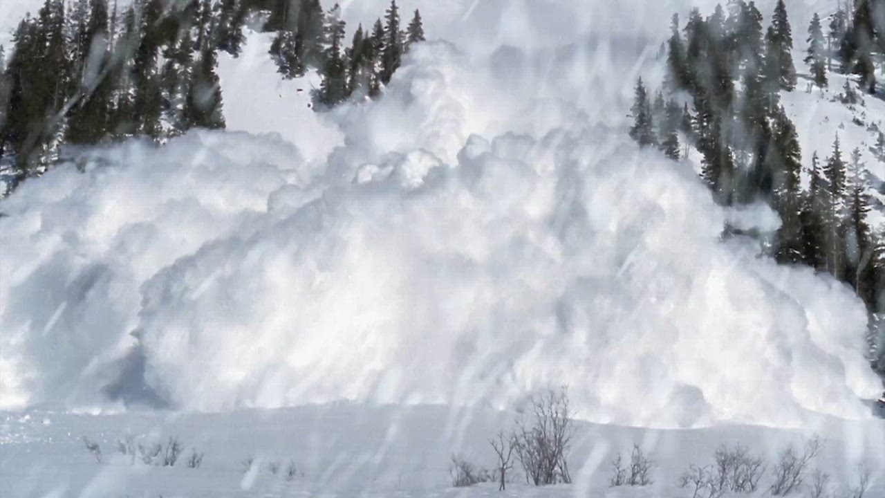 Avalanches