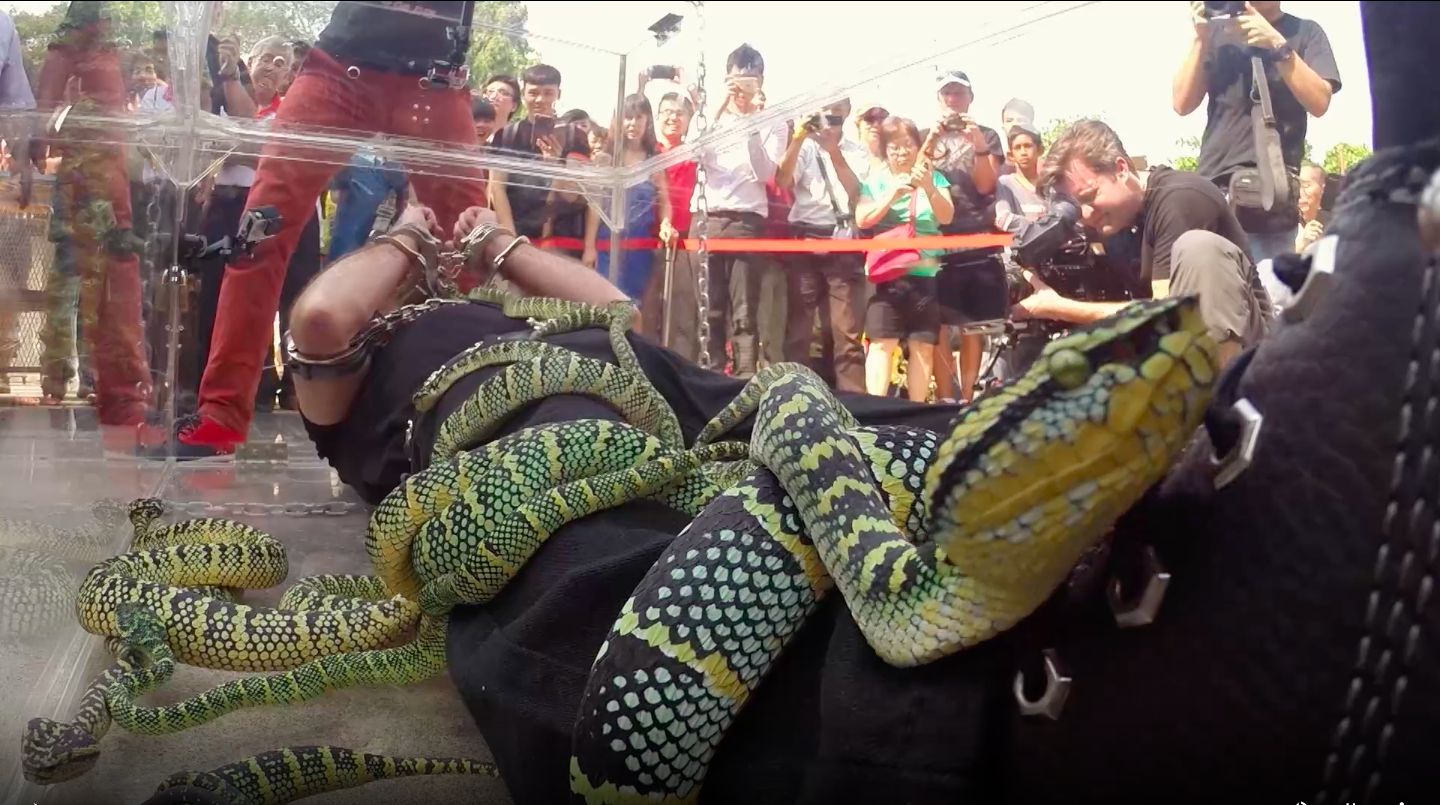 Malaysia Viper Escape