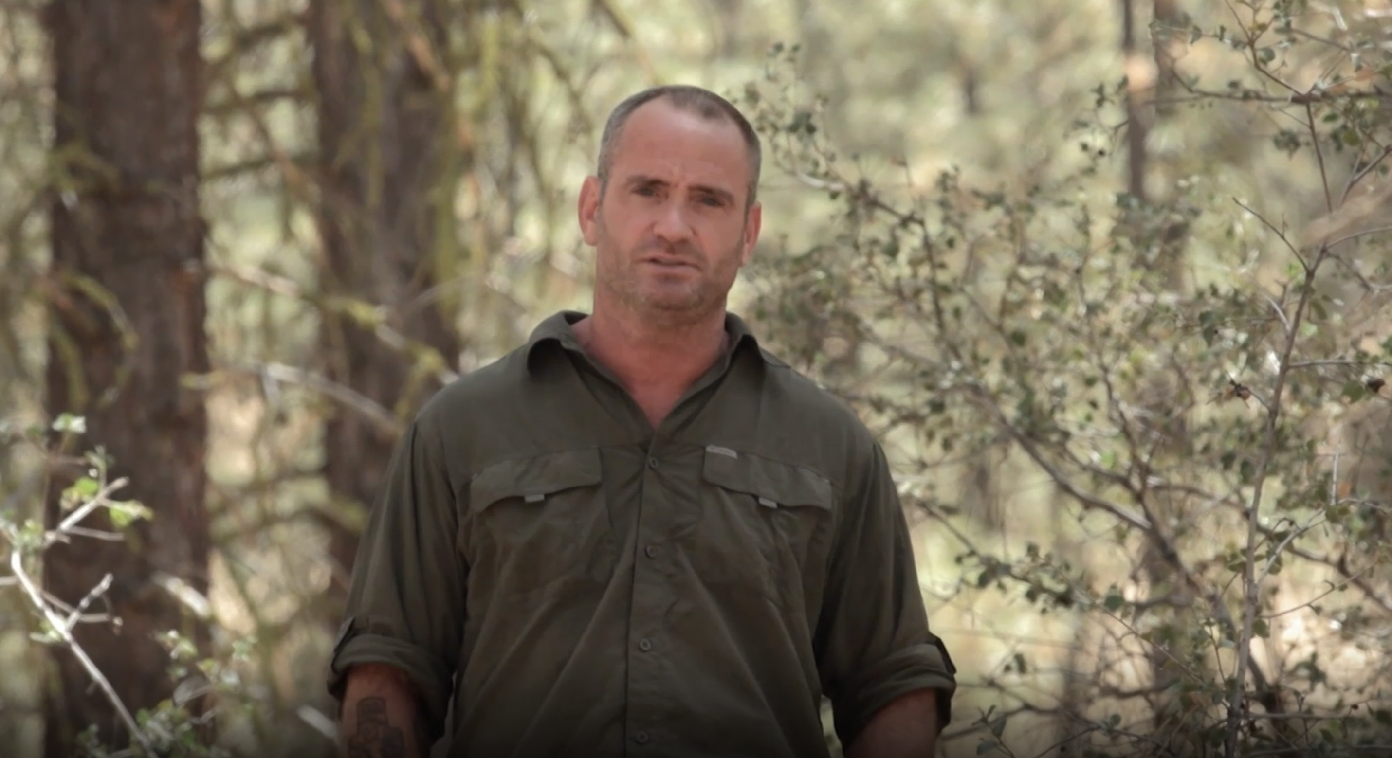 Best Stories of the Season