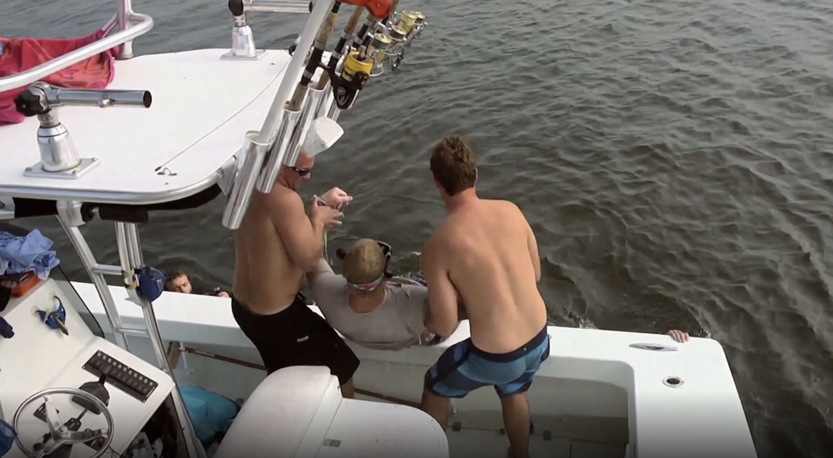 Bull Shark in the Shallows 