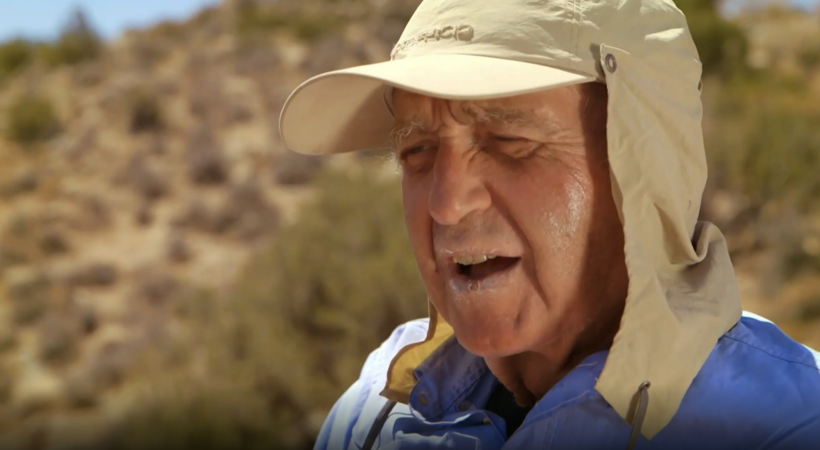 Under the Desert Sun