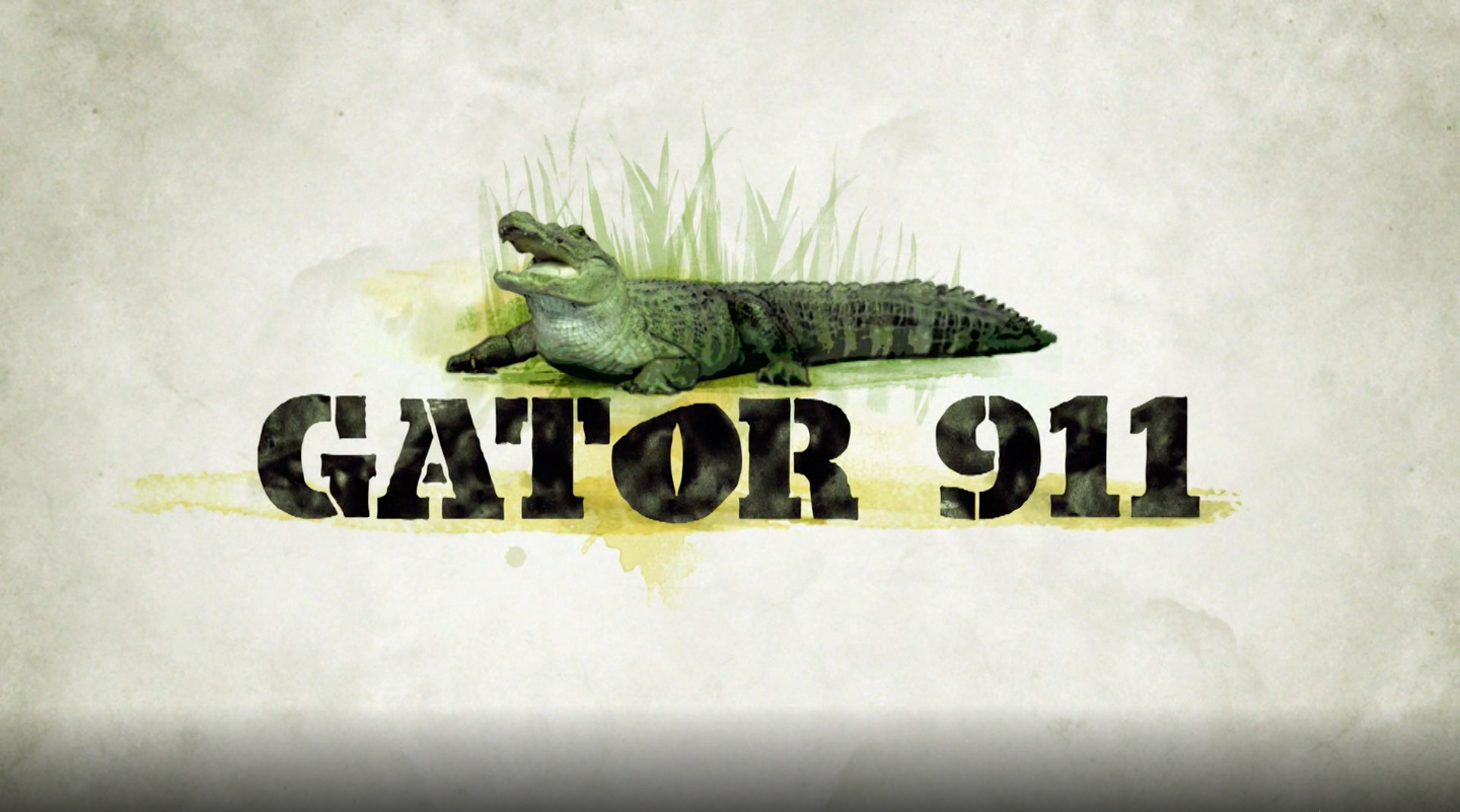 Gator 911