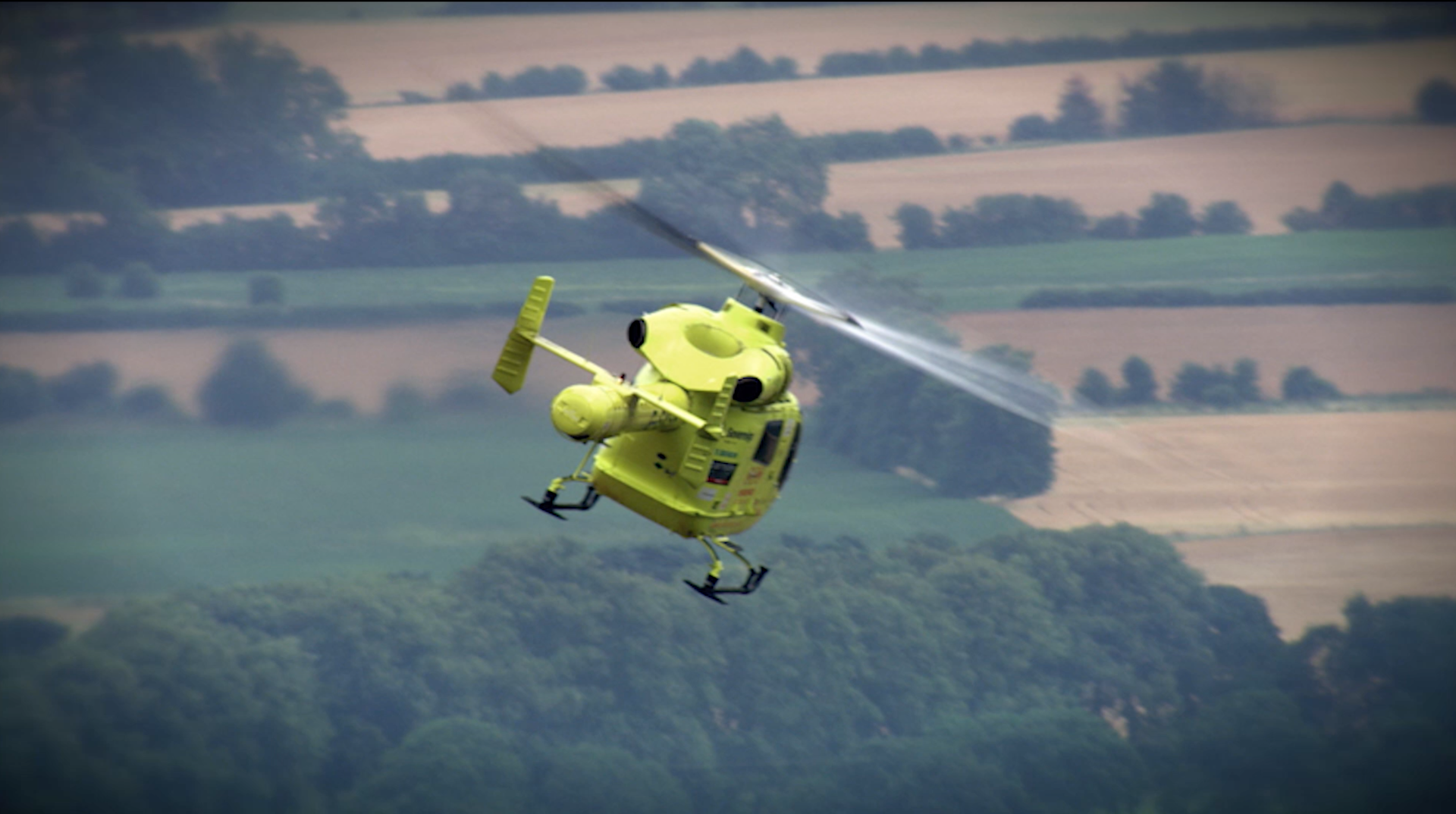 Horse Whisperer Trampling