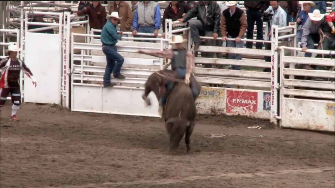 Winningest Bull Fighter