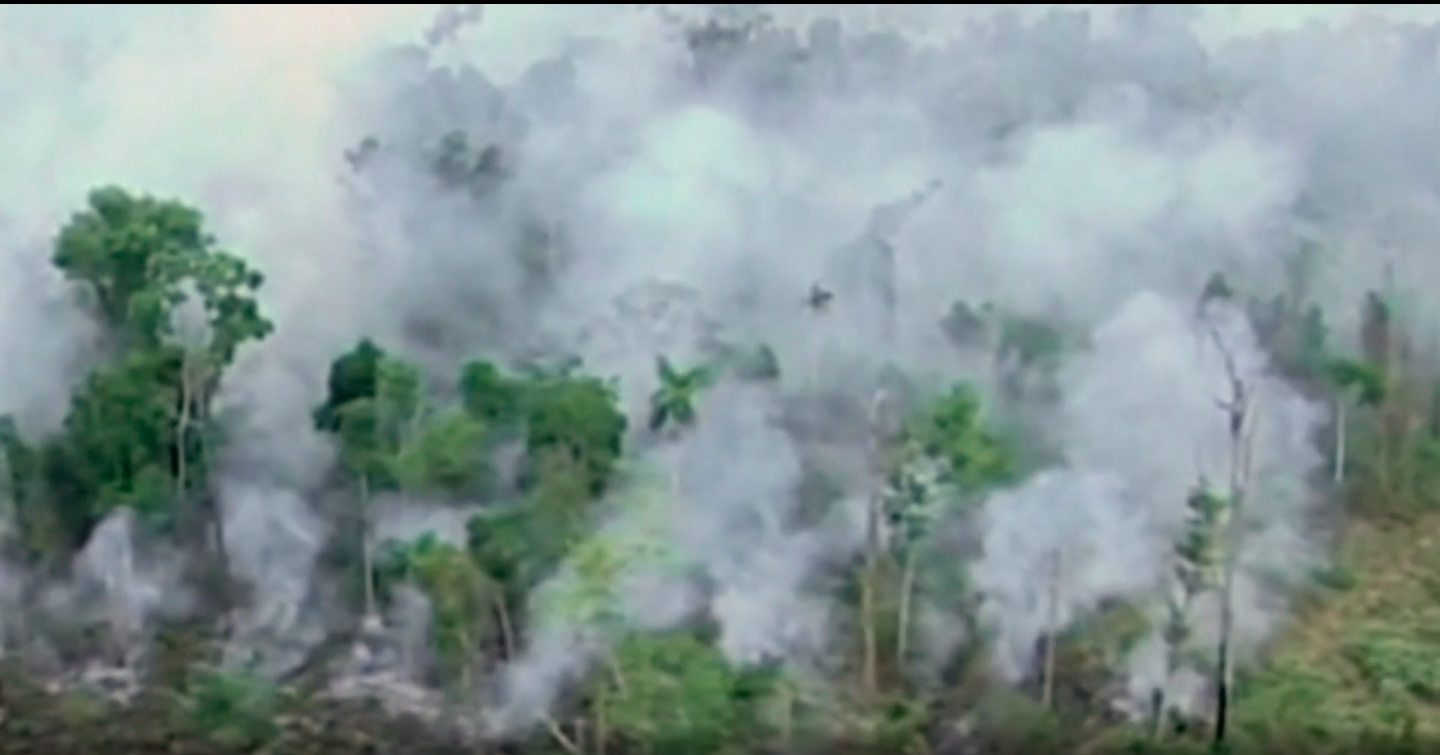 Environmental Disasters