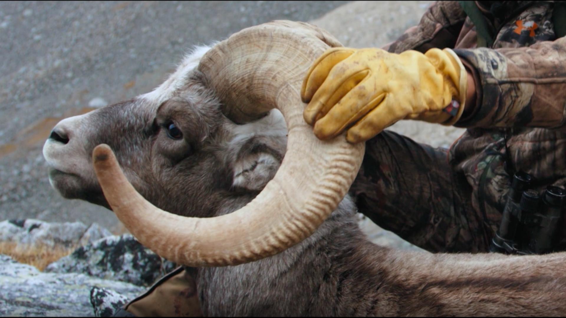 Jim Shockey's UNCHARTED