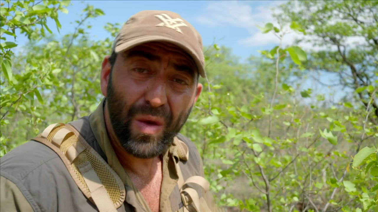 Nothing Short of Madness