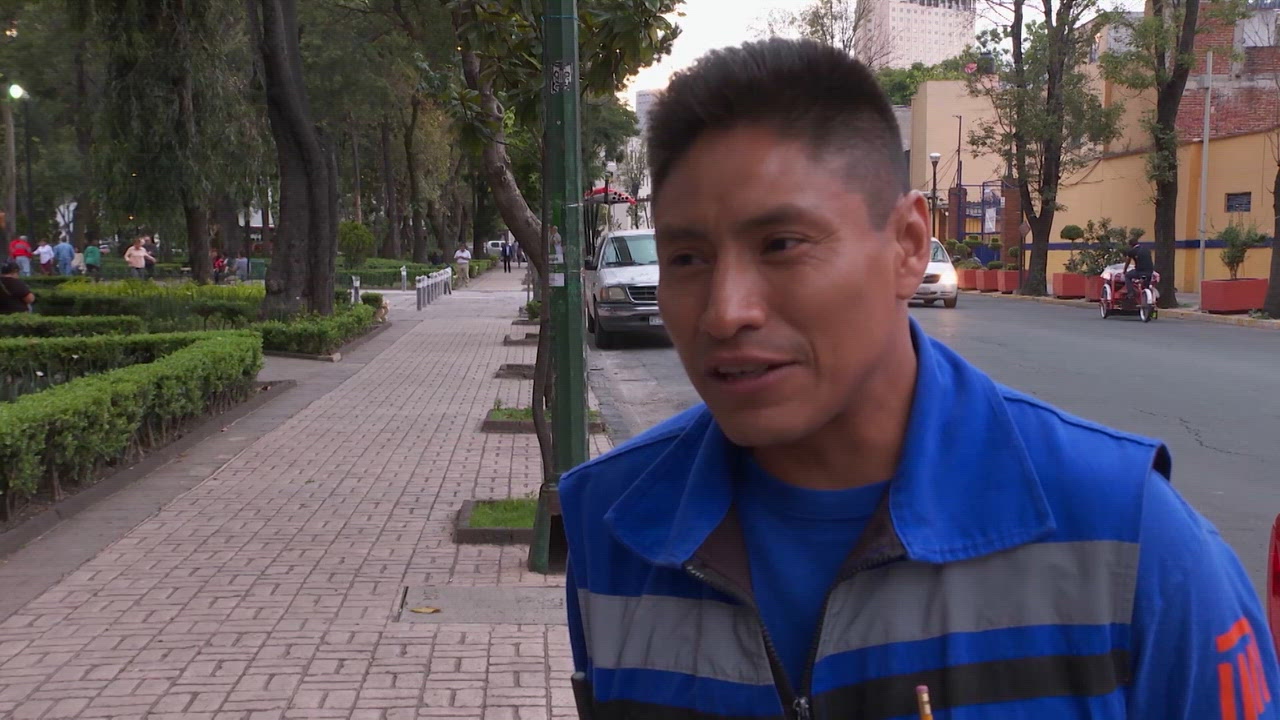 El Pulso de la Metrópolis