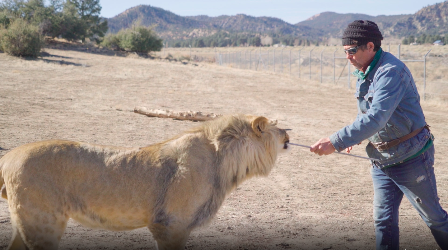 Lion Tamer and Snake Man