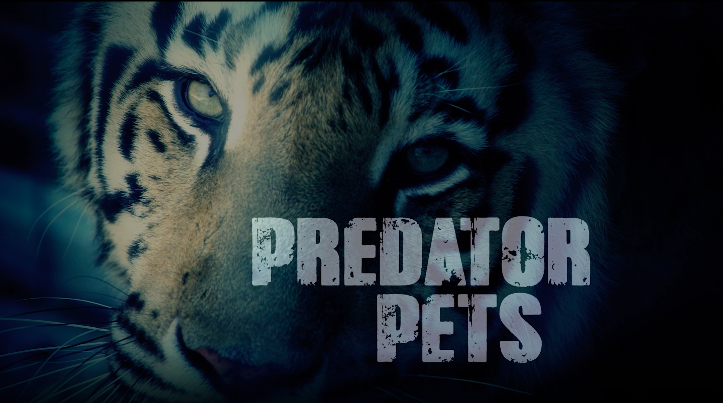 Predator Pets
