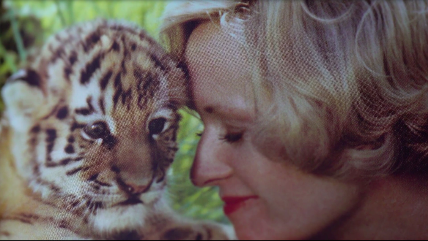 Tippi Hedren's Tigers