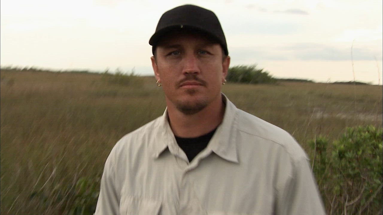 Caimans Of The Caribbean