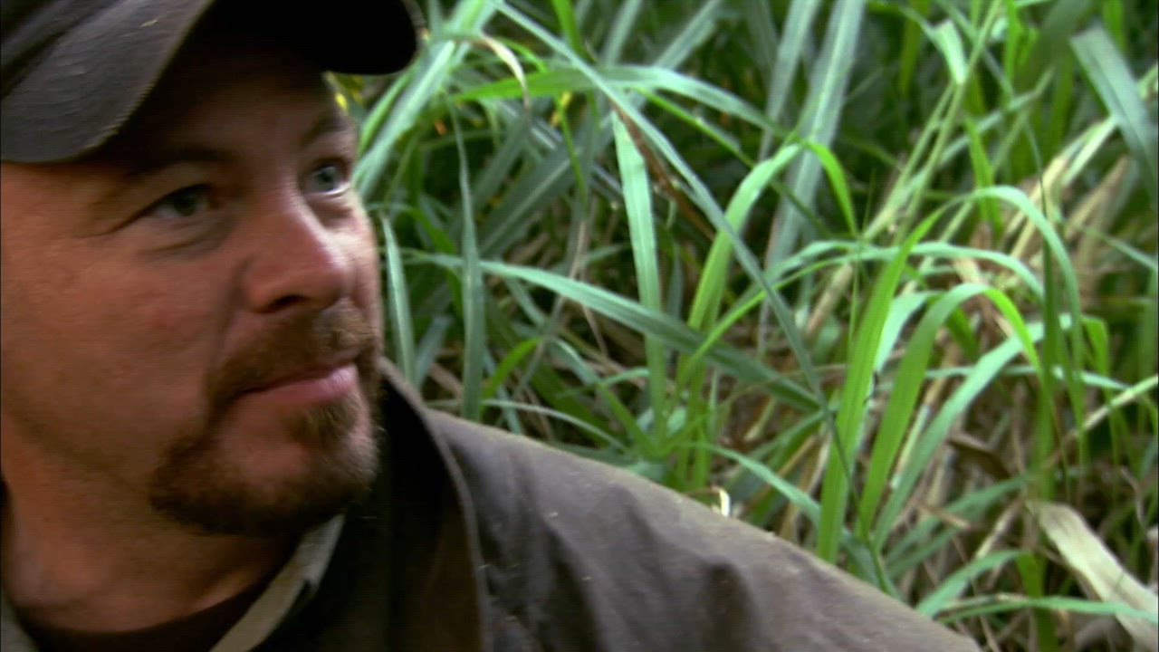 From Everglades to Enchantment  