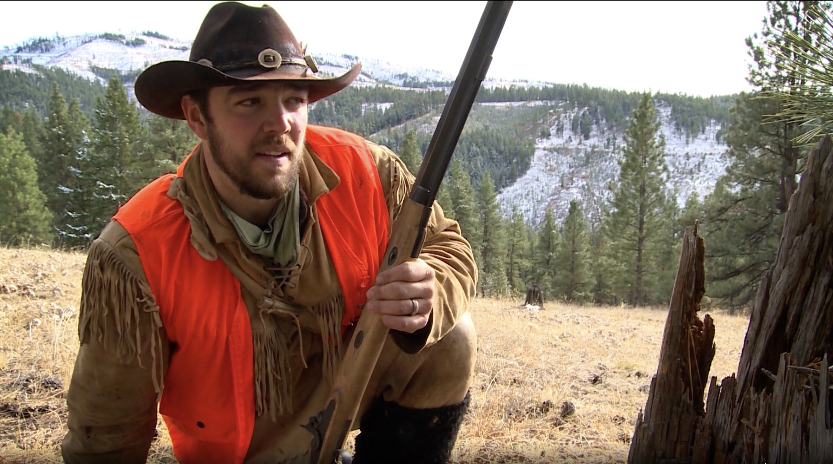 Mule Deer in the Mountains