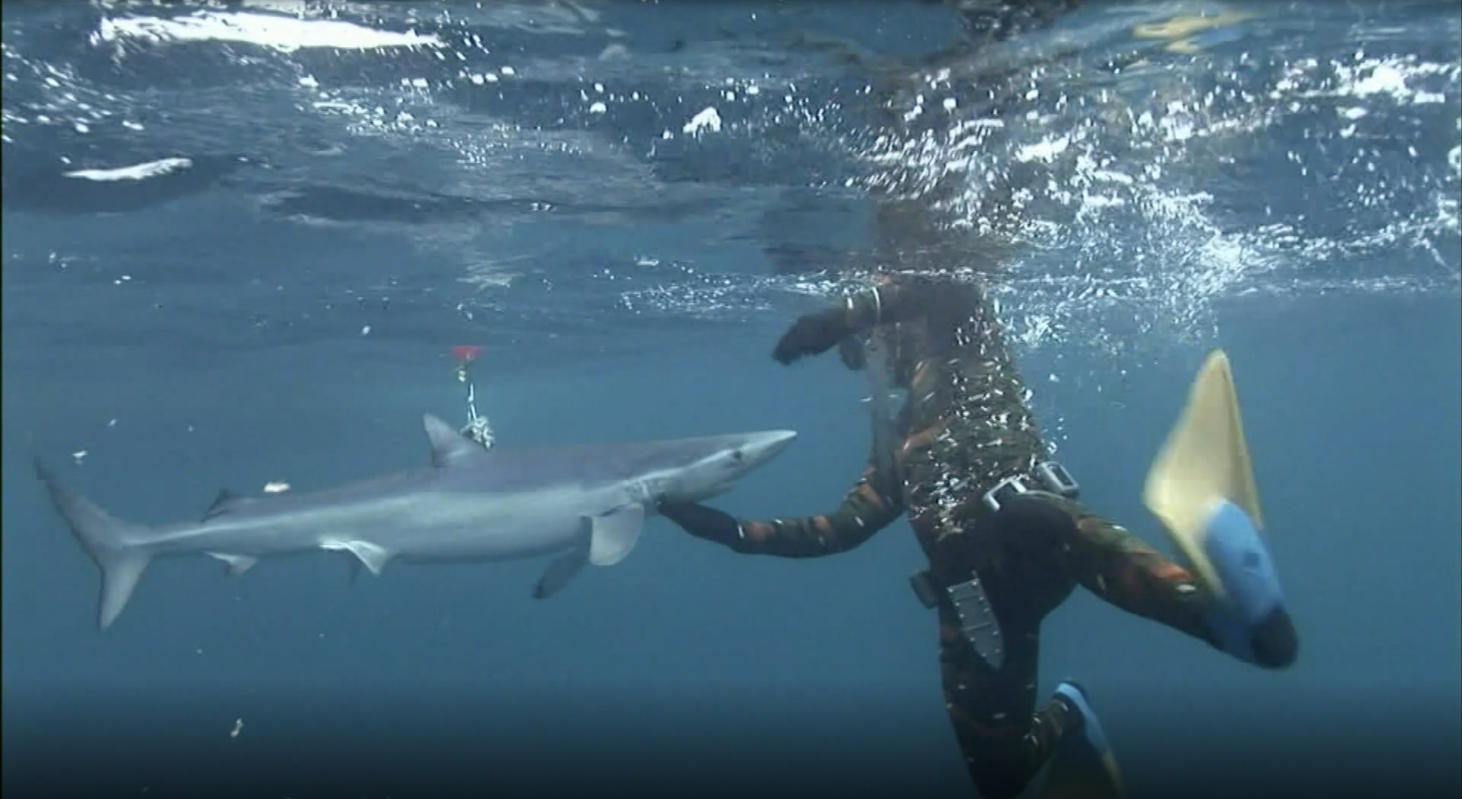 Blue Water Savages Part Two