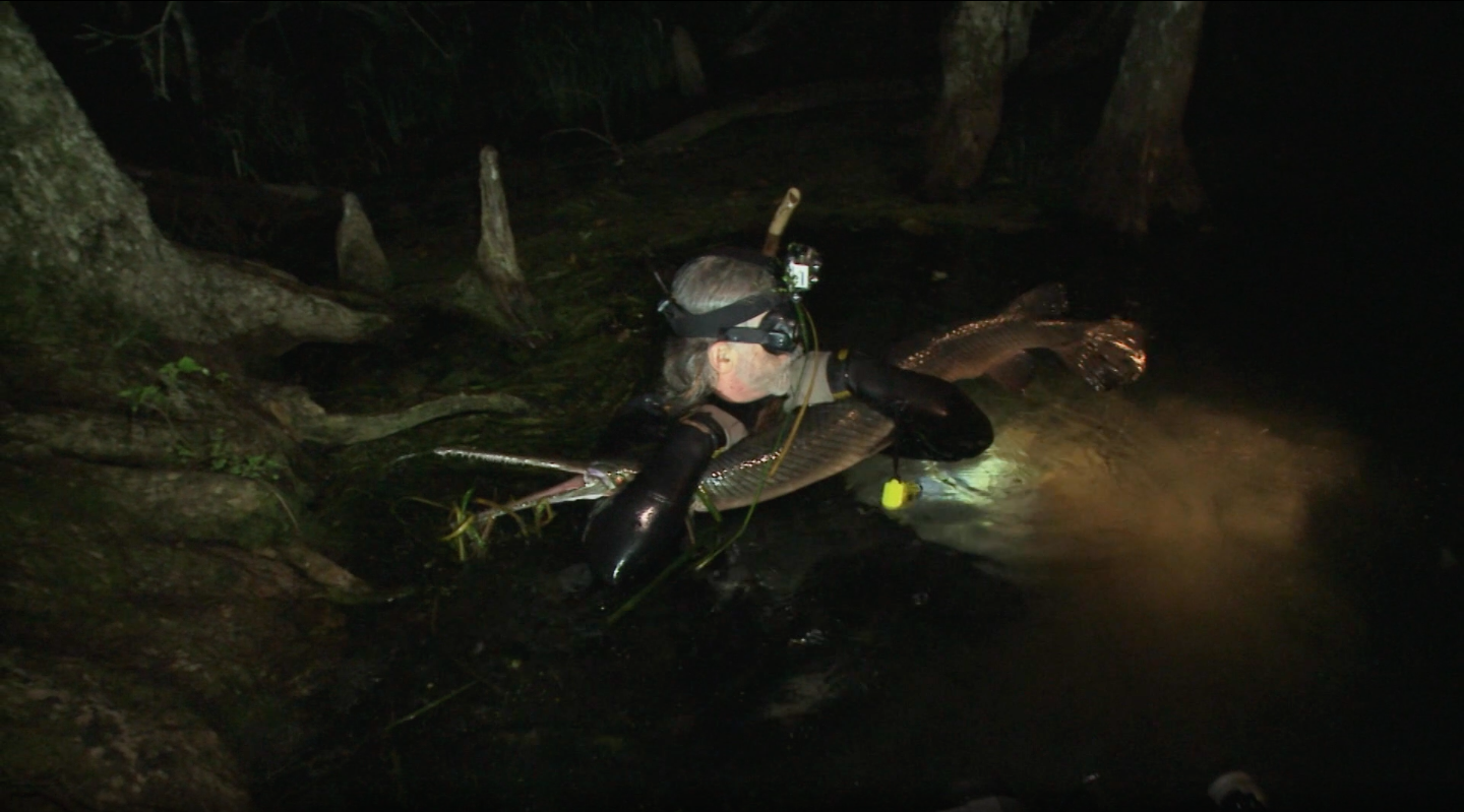 Handcatching Fish in the Dark