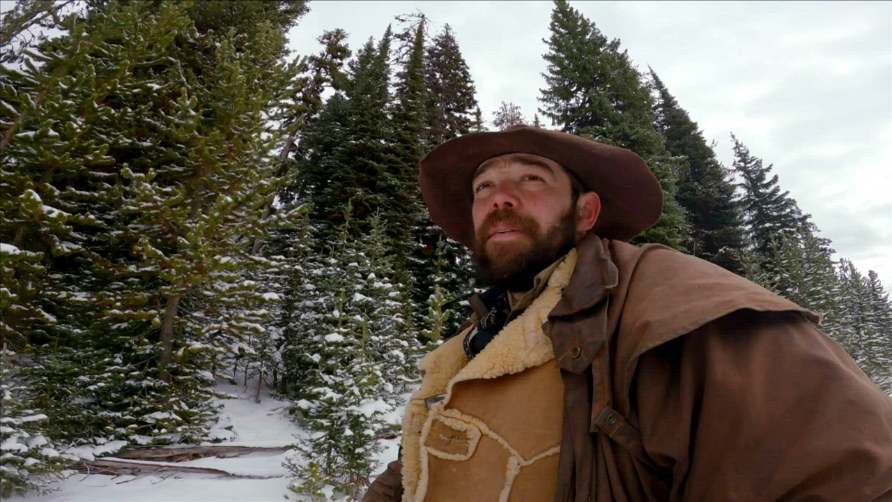 Observe, Learn, Adapt, Survive