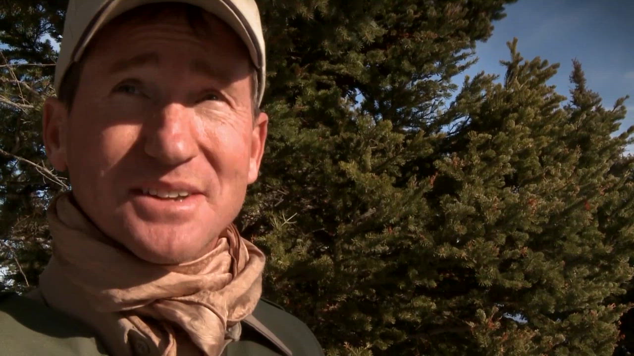 High Country Challenges 