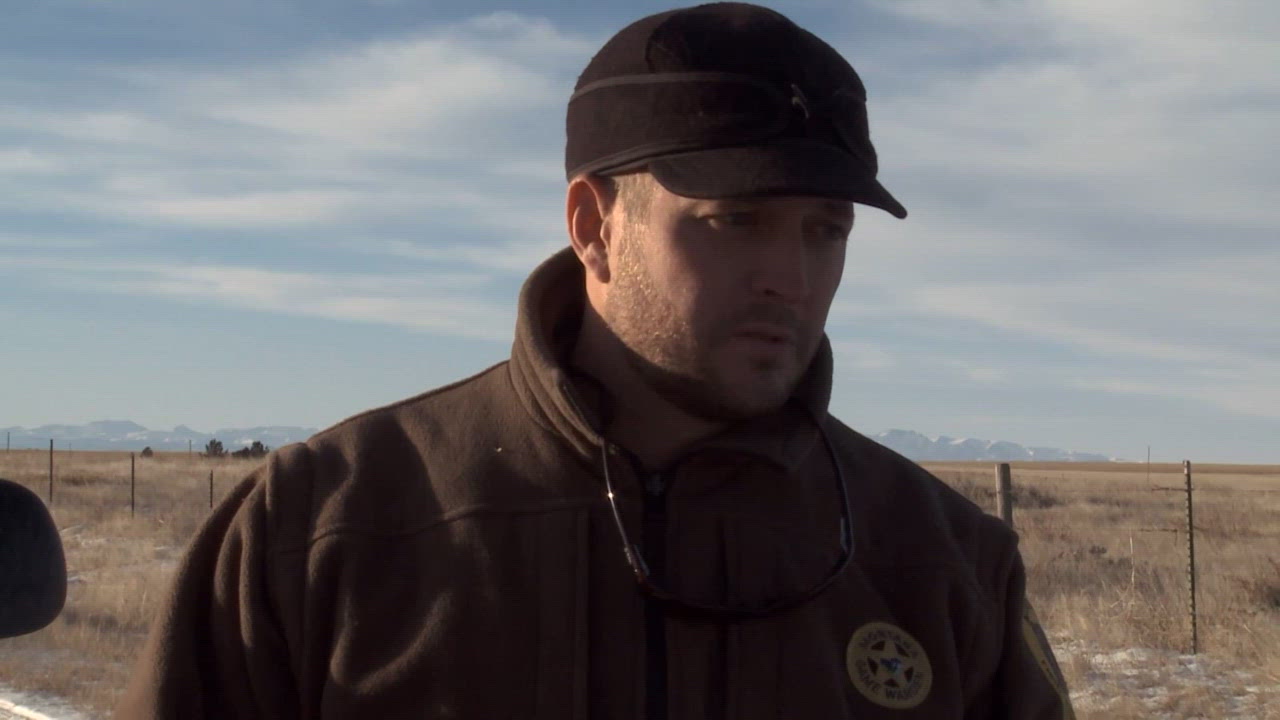 The Ungutted Mystery