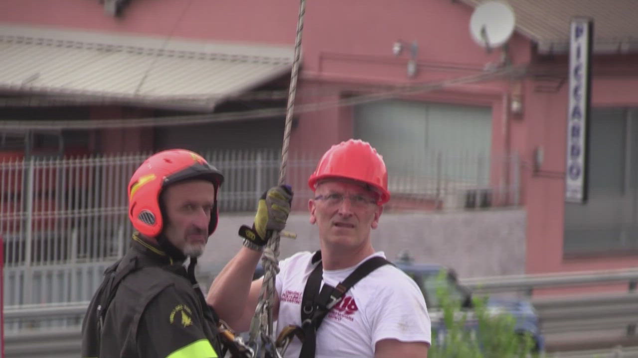 The Morandi Bridge Collapse