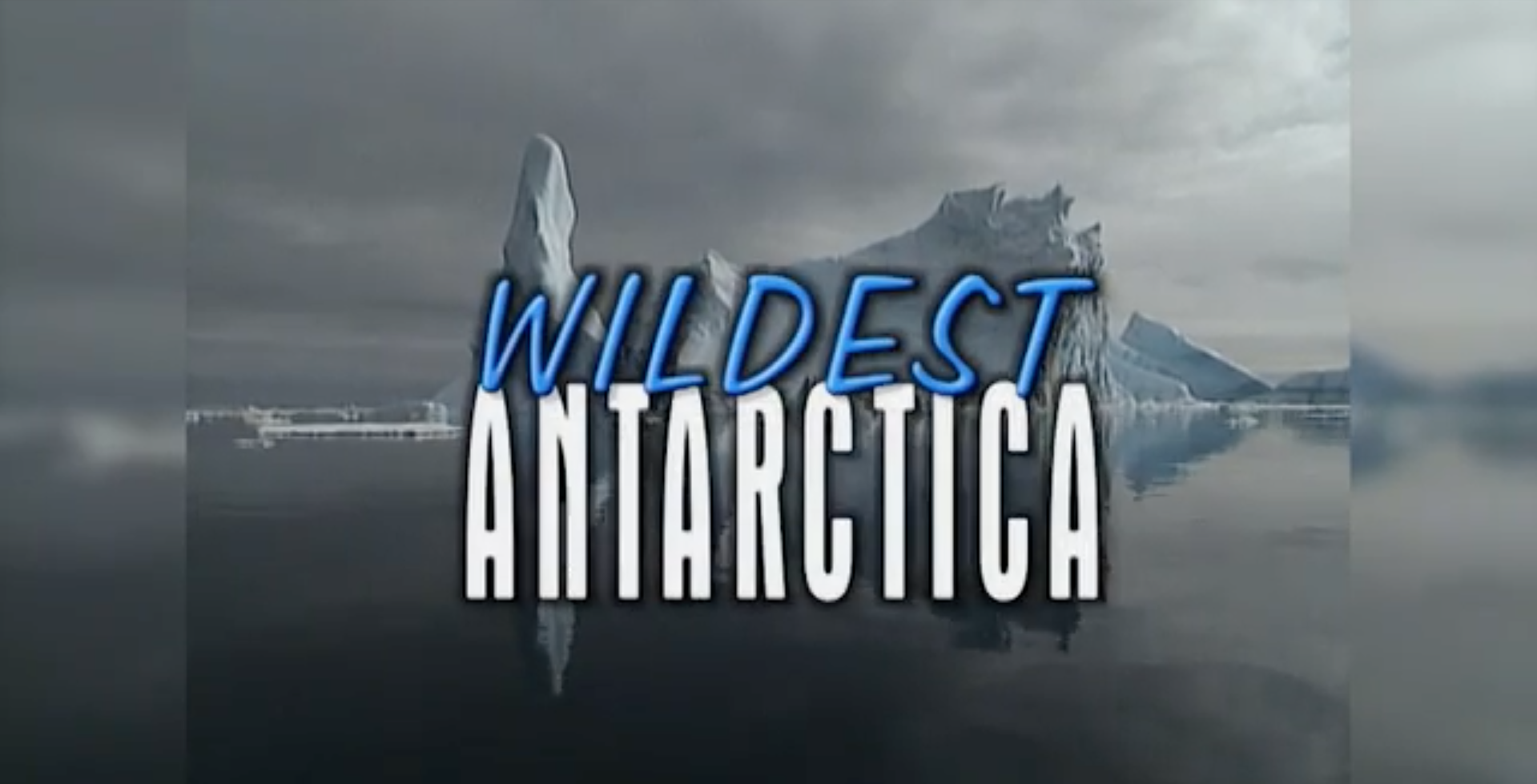 Wildest Antarctica