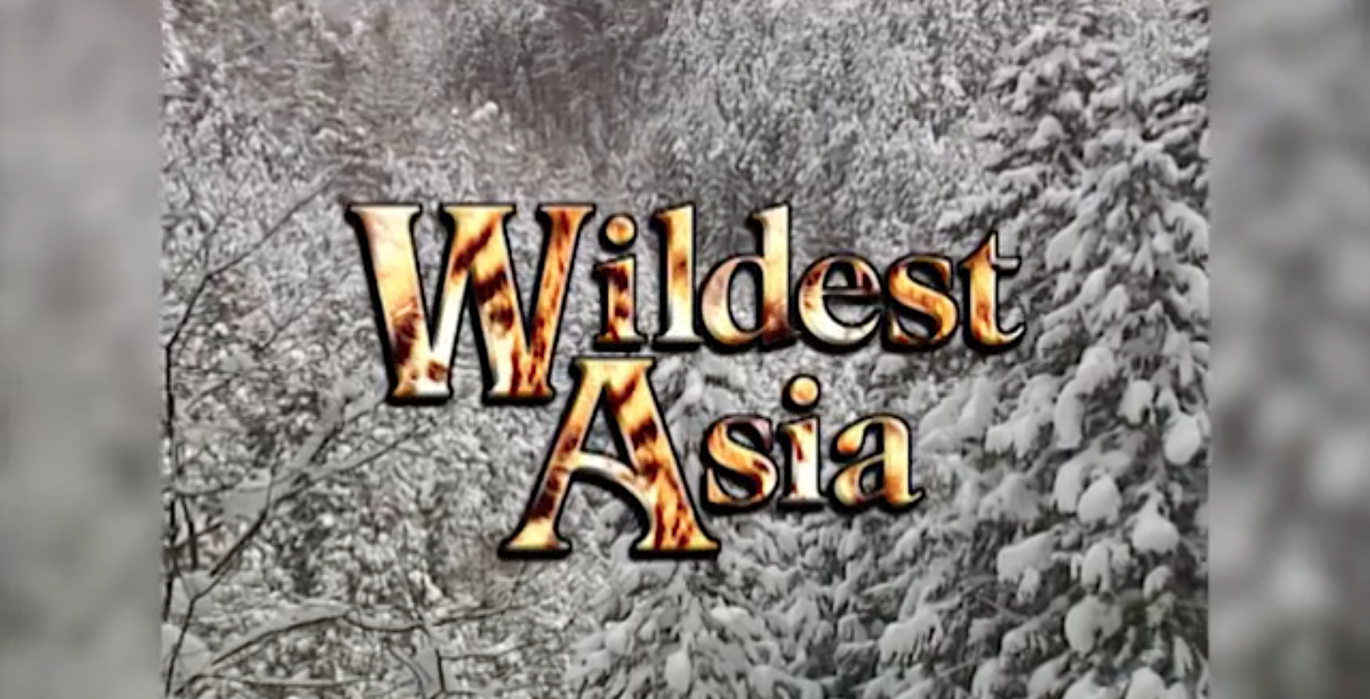 Wildest Asia