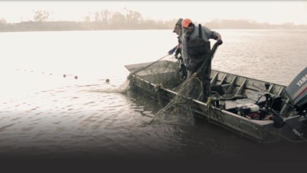 Two crew members pull a net into their boat.
