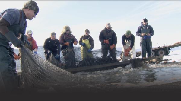 Nine men work around a net.