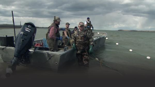 Fishermen in a boat.