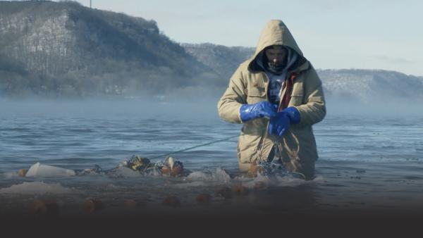 A man works on a net while in the water.