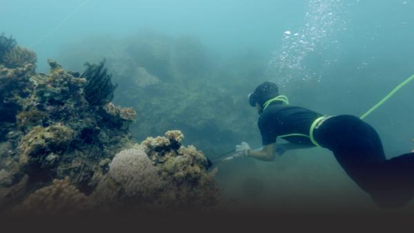 a man spear fishes using a small tube to breath