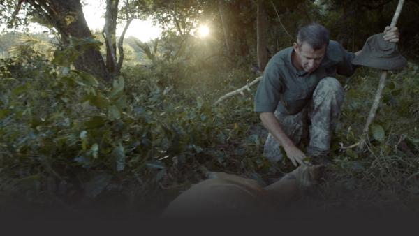 Man standing over trapped deer