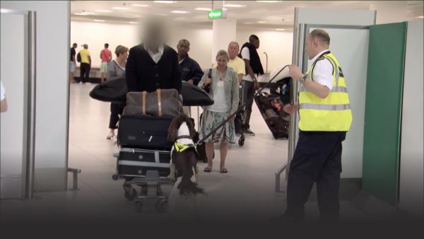 Man going through Customs