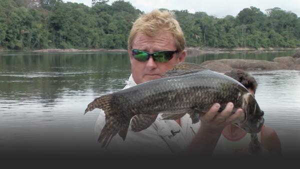 Man shows the tail of a fish that is dripping in blood, recently bit by another larger fish