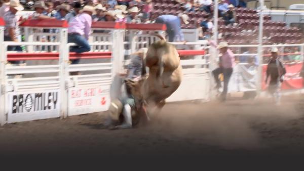 Bull Riding 