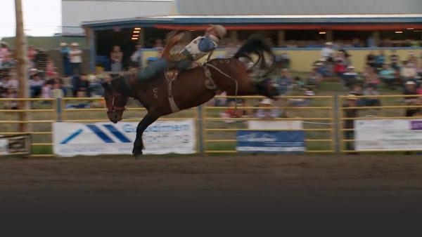 As the competition heats up the cowboy can only hold on for dear life. 