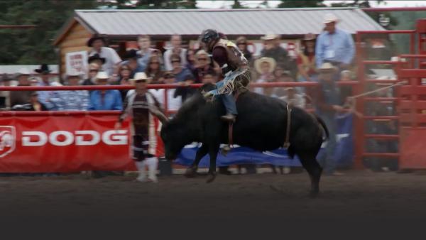 The Ponoka Stampede