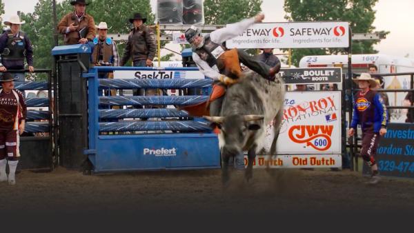 Professional bull rider