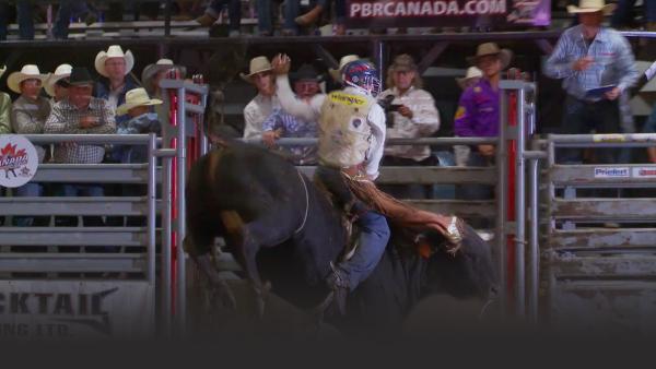 Rodeo cowboy on a bull