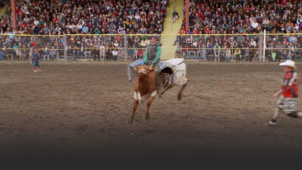 K's Thompson, Tylers cousin also competing in todays steer riding competition. 