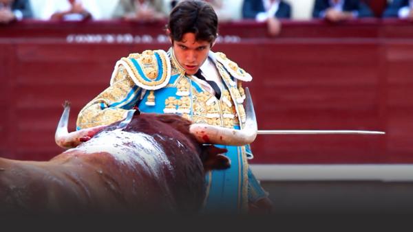 Bull and matador in bullring