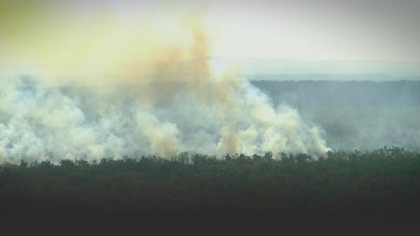 A brushfire in Australia