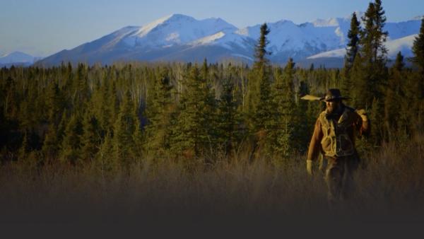 A man walks in a field near the mountains.